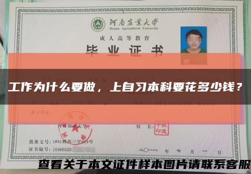 工作为什么要做，上自习本科要花多少钱？缩略图