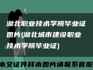 湖北职业技术学院毕业证图片(湖北城市建设职业技术学院毕业证)缩略图
