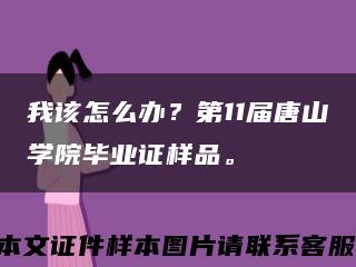 我该怎么办？第11届唐山学院毕业证样品。缩略图