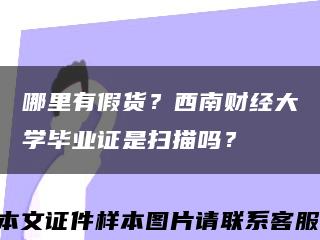 哪里有假货？西南财经大学毕业证是扫描吗？缩略图