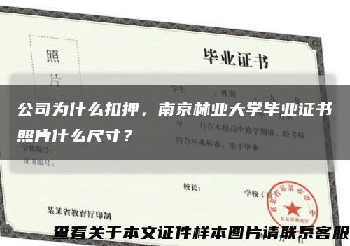 公司为什么扣押，南京林业大学毕业证书照片什么尺寸？缩略图