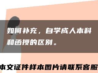 如何补充，自学成人本科和函授的区别。缩略图