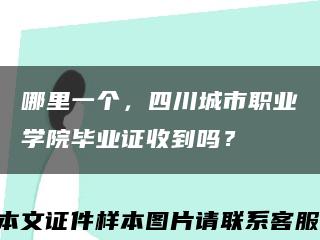 哪里一个，四川城市职业学院毕业证收到吗？缩略图