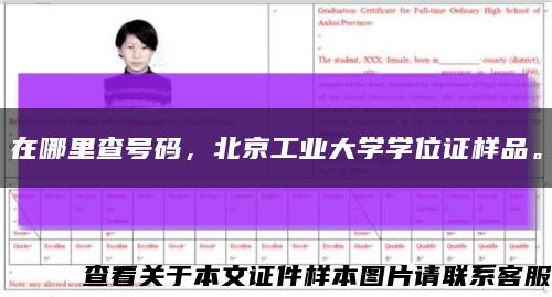 在哪里查号码，北京工业大学学位证样品。缩略图