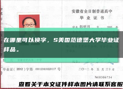 在哪里可以换字，S美国范德堡大学毕业证样品。缩略图