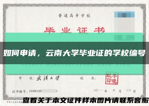 如何申请，云南大学毕业证的学校编号缩略图