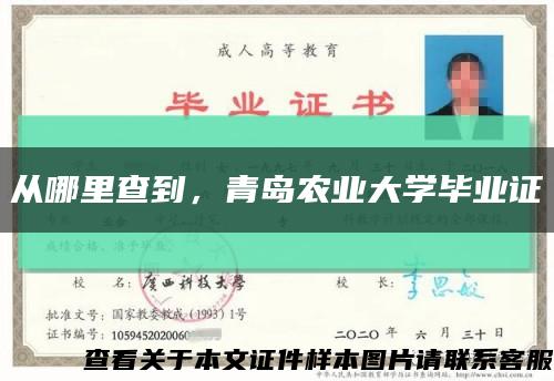 从哪里查到，青岛农业大学毕业证缩略图