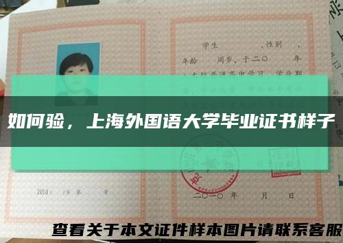 如何验，上海外国语大学毕业证书样子缩略图