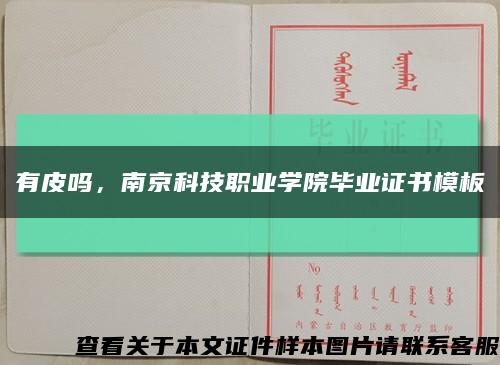 有皮吗，南京科技职业学院毕业证书模板缩略图