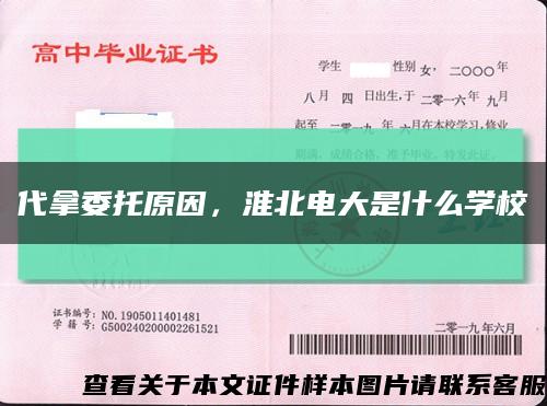 代拿委托原因，淮北电大是什么学校缩略图