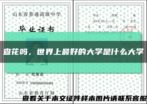 查花吗，世界上最好的大学是什么大学缩略图
