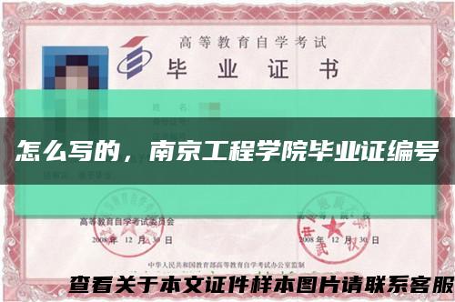 怎么写的，南京工程学院毕业证编号缩略图