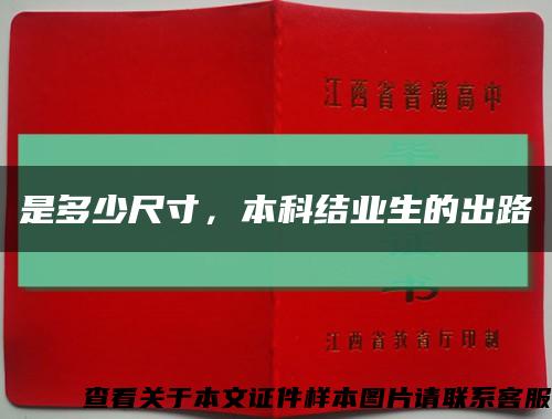 是多少尺寸，本科结业生的出路缩略图