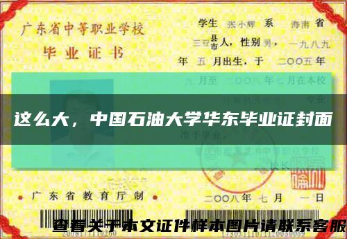 这么大，中国石油大学华东毕业证封面缩略图