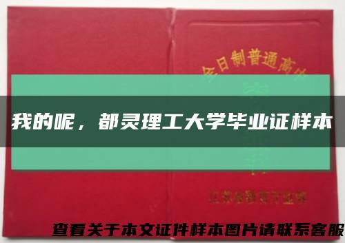 我的呢，都灵理工大学毕业证样本缩略图