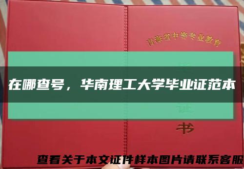 在哪查号，华南理工大学毕业证范本缩略图