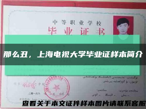 那么丑，上海电视大学毕业证样本简介缩略图