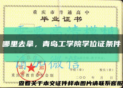 哪里去拿，青岛工学院学位证条件缩略图