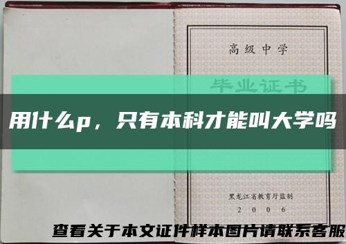 用什么p，只有本科才能叫大学吗缩略图