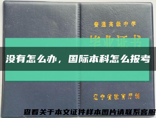 没有怎么办，国际本科怎么报考缩略图