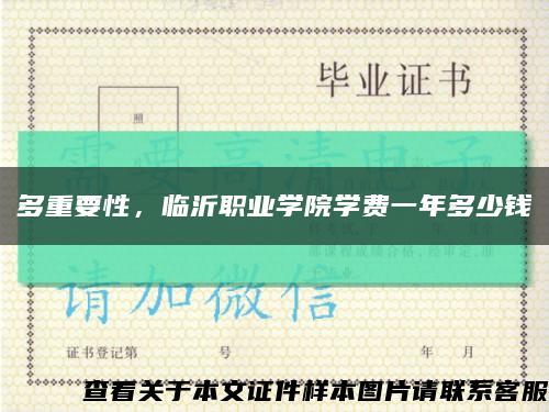 多重要性，临沂职业学院学费一年多少钱缩略图