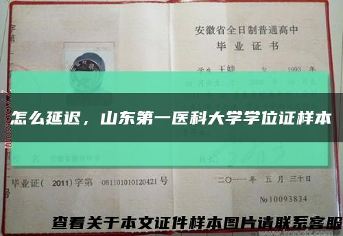 怎么延迟，山东第一医科大学学位证样本缩略图