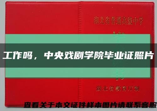 工作吗，中央戏剧学院毕业证照片缩略图
