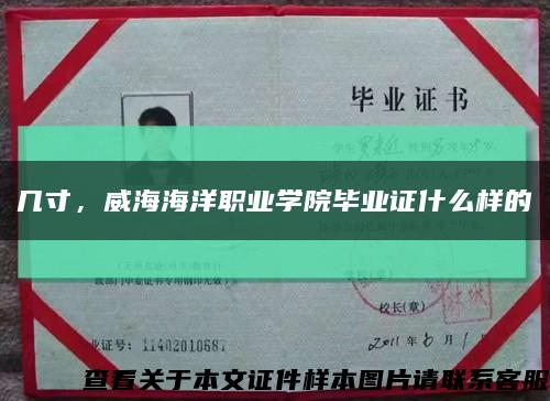 几寸，威海海洋职业学院毕业证什么样的缩略图