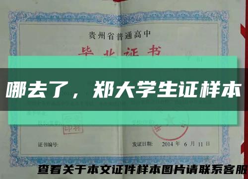哪去了，郑大学生证样本缩略图