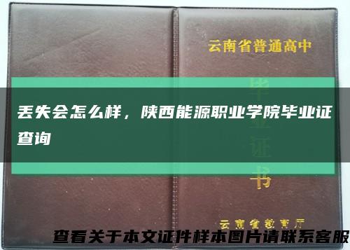 丢失会怎么样，陕西能源职业学院毕业证查询缩略图