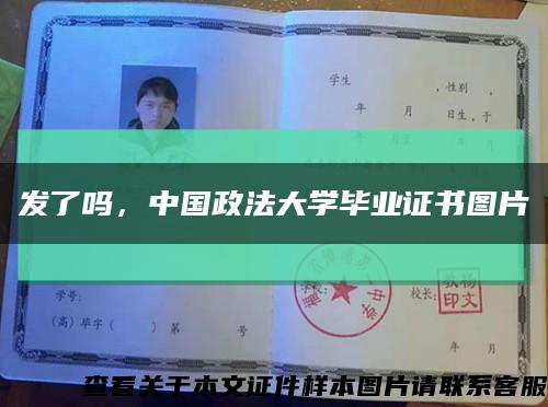 发了吗，中国政法大学毕业证书图片缩略图