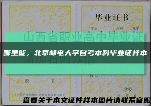 哪里能，北京邮电大学自考本科毕业证样本缩略图
