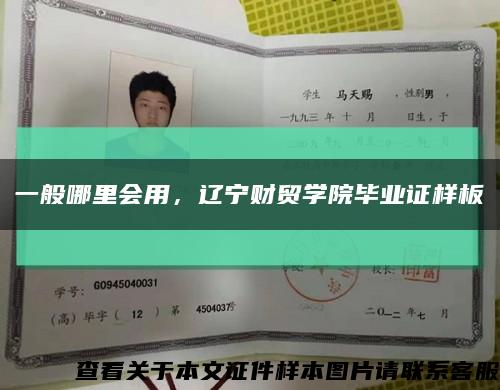 一般哪里会用，辽宁财贸学院毕业证样板缩略图
