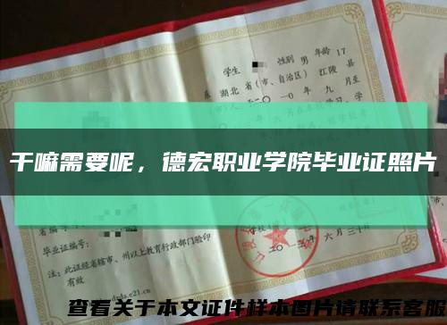 干嘛需要呢，德宏职业学院毕业证照片缩略图