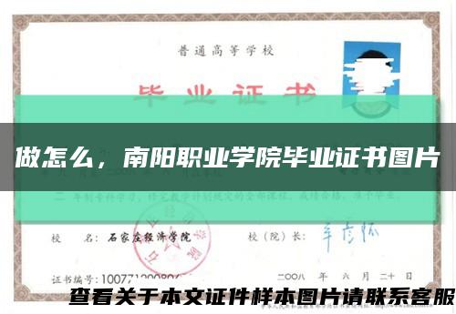 做怎么，南阳职业学院毕业证书图片缩略图