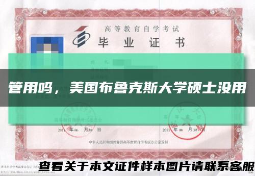 管用吗，美国布鲁克斯大学硕士没用缩略图