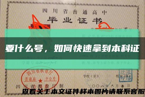 要什么号，如何快速拿到本科证缩略图