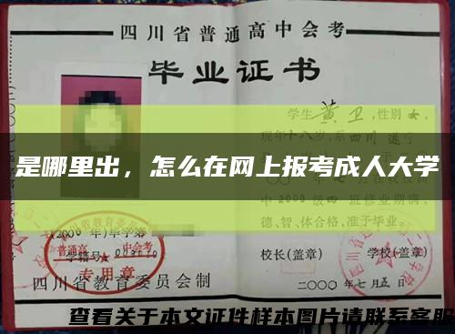是哪里出，怎么在网上报考成人大学缩略图