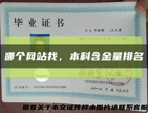 哪个网站找，本科含金量排名缩略图