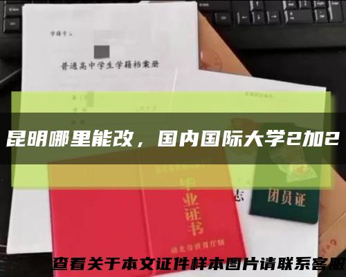昆明哪里能改，国内国际大学2加2缩略图