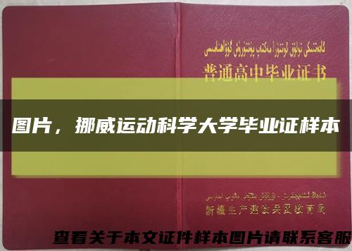 图片，挪威运动科学大学毕业证样本缩略图