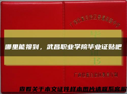 哪里能搜到，武昌职业学院毕业证贴吧缩略图
