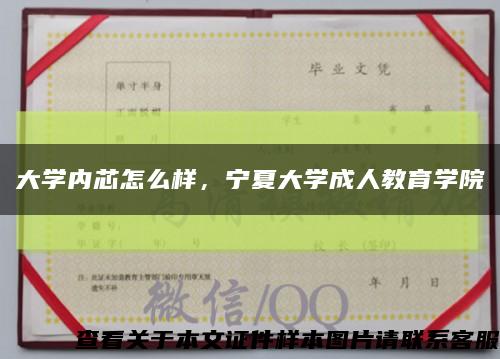 大学内芯怎么样，宁夏大学成人教育学院缩略图