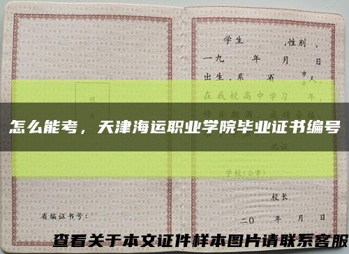 怎么能考，天津海运职业学院毕业证书编号缩略图