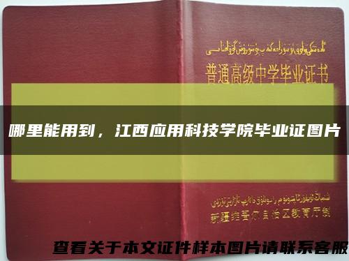 哪里能用到，江西应用科技学院毕业证图片缩略图
