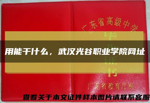 用能干什么，武汉光谷职业学院网址缩略图