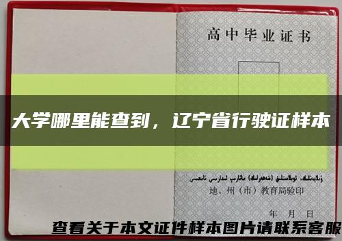 大学哪里能查到，辽宁省行驶证样本缩略图