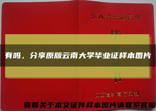有吗，分享原版云南大学毕业证样本图片缩略图