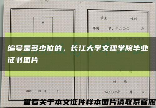 编号是多少位的，长江大学文理学院毕业证书图片缩略图