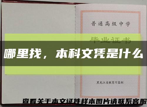 哪里找，本科文凭是什么缩略图